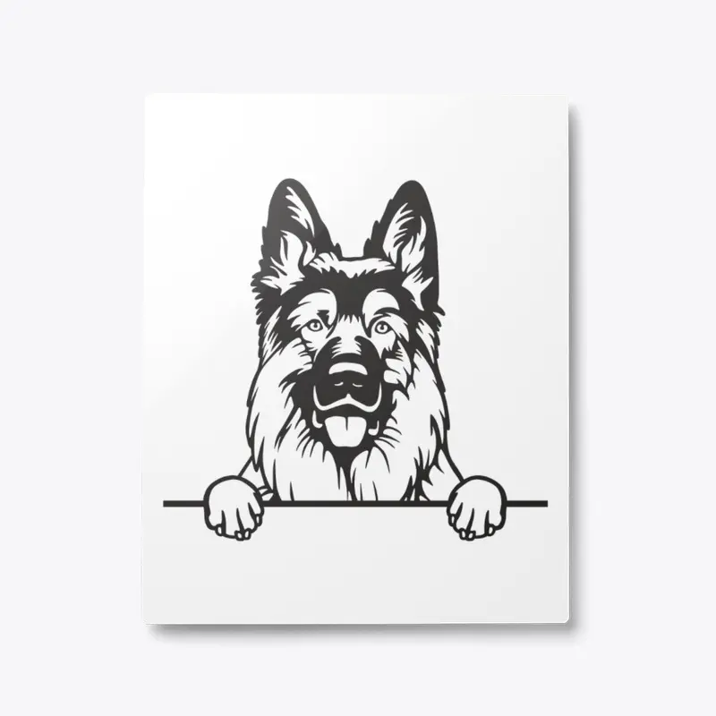 A Lovely German Shepherd